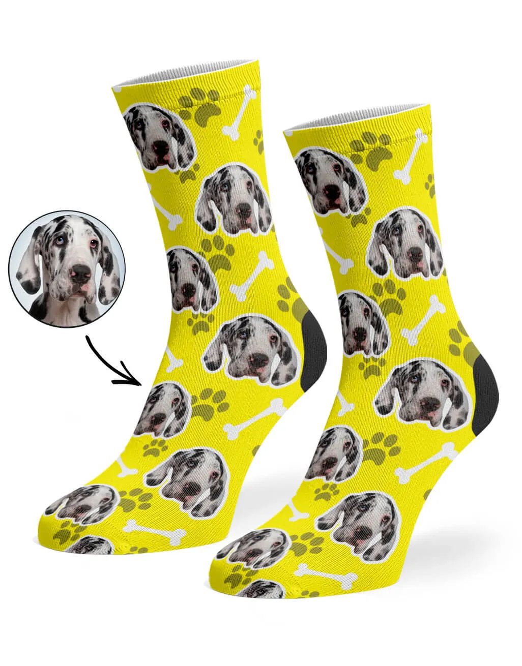 Your Dog Socks