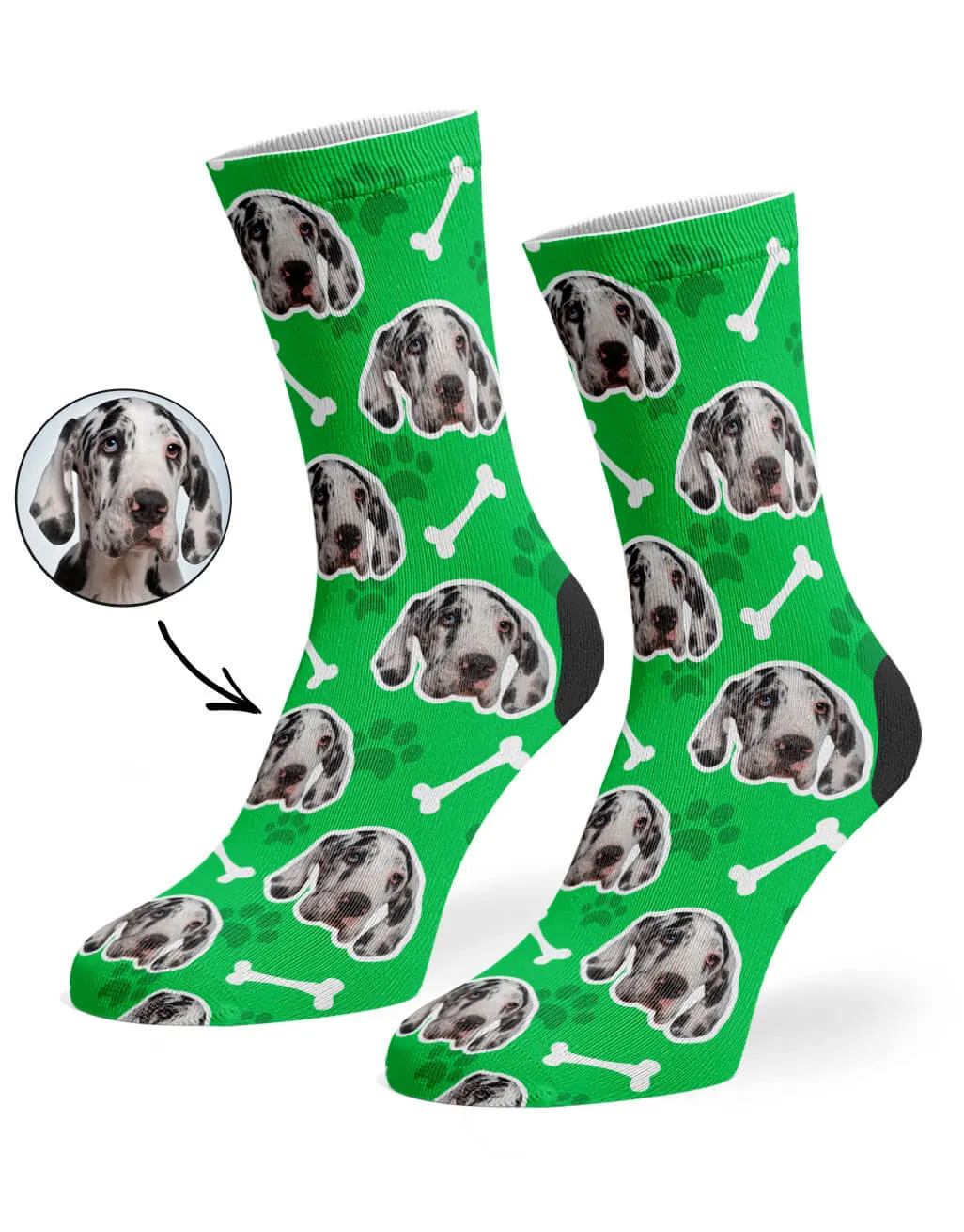 Your Dog Socks