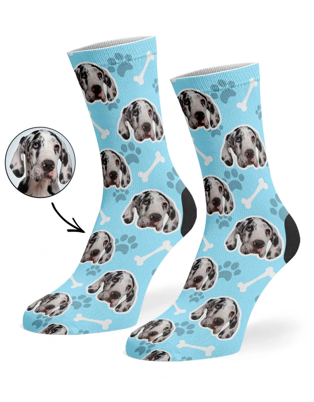 Your Dog Socks
