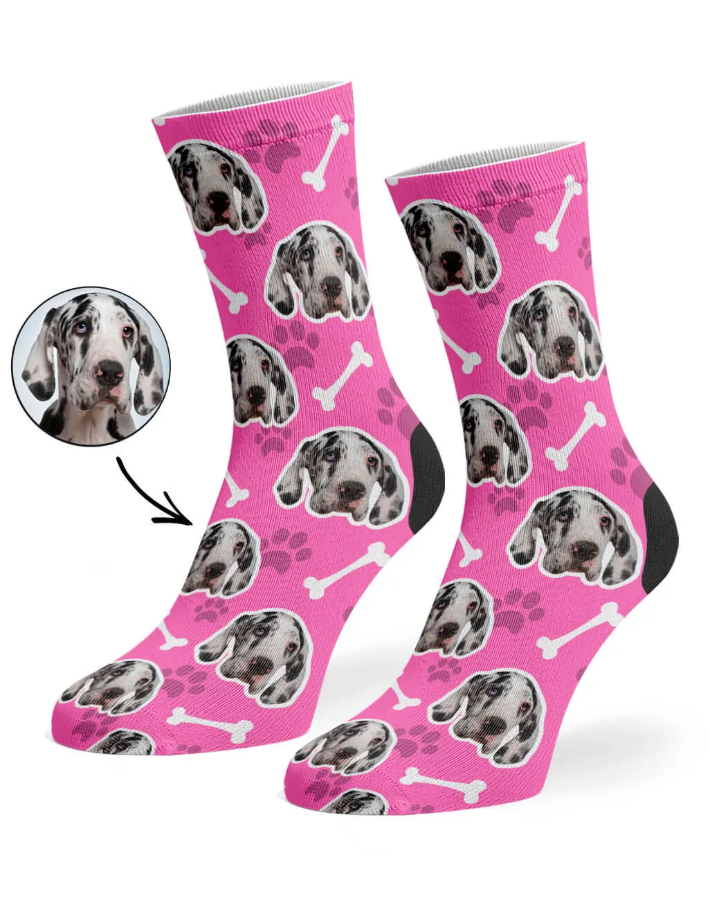 Your Dog Socks
