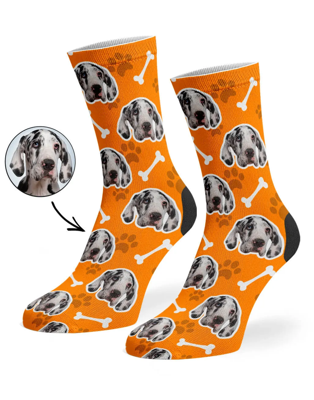 Your Dog Socks