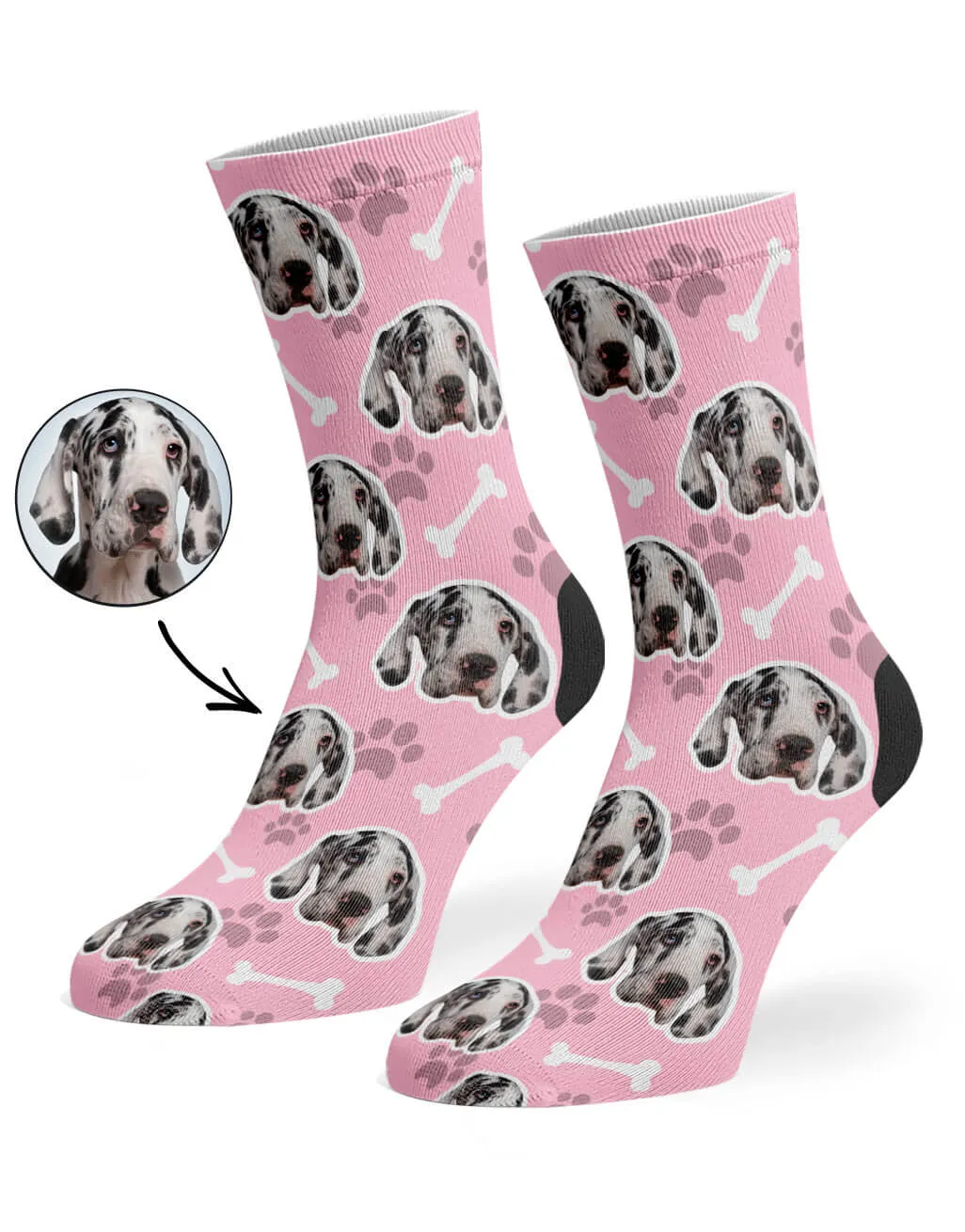 Your Dog Socks